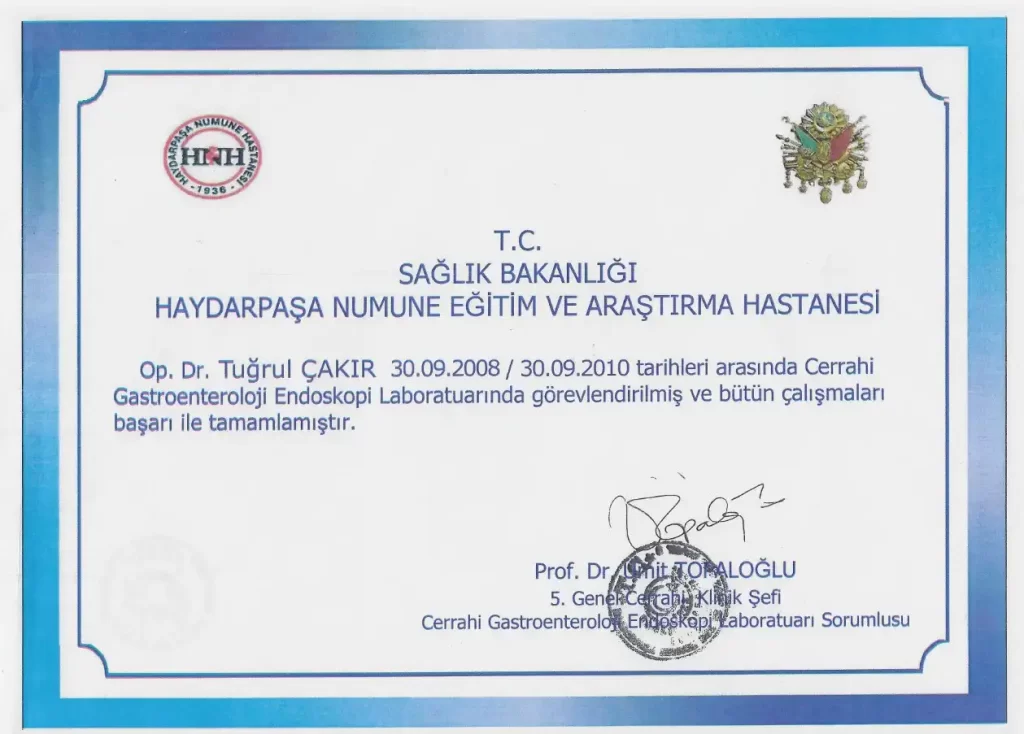 Tuğrul Çakır Gastroenteroloji Başarı Belgesi