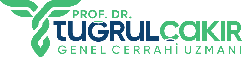 Prof. Dr. Tuğrul Çakır Prof. Dr. Tuğrul Çakır